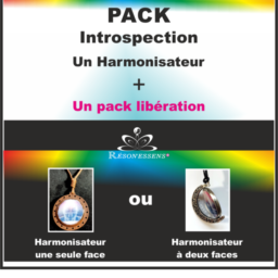 pack introspection e1664171078706
